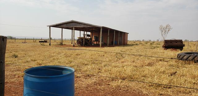 Fazenda 785 ha Pecuária R$ 9.420 milhões 67 km Campo Grande MS - Foto 7
