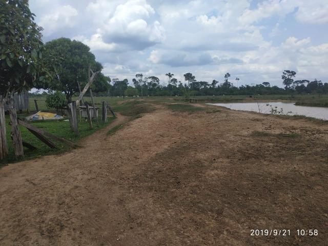 Colônia Quixadá - Foto 4