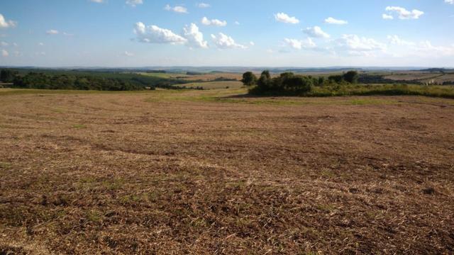 234 Hectares - 97 Alqueires - Planta 52 Alqueires - Palmeira - Foto 4