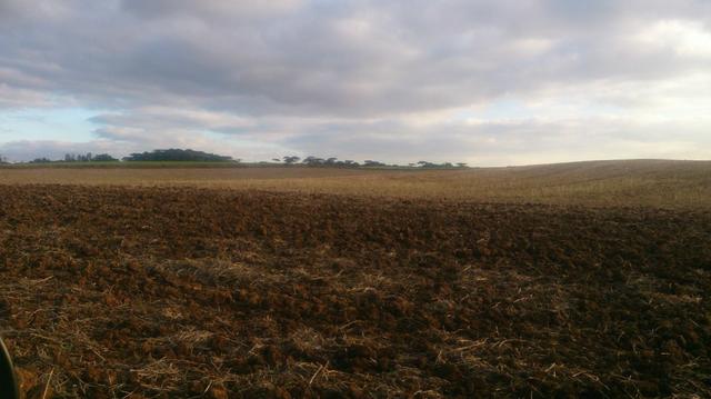 580 Hectares - 240 Alqueires - Fazenda Sede - Lapa - Foto 4