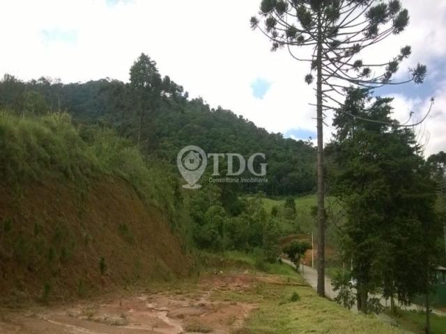 Loteamento/condomínio à venda em Vargem grande, Teresópolis cod:TE00005 - Foto 13