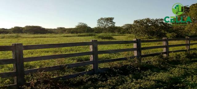 Fazendas para Pecuária no Tocantins / A partir de R$ 1.500,00 por Hectare - Foto 4