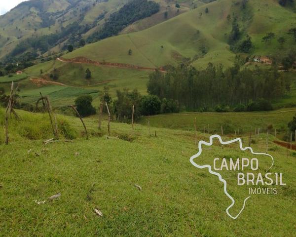 Oportunidade rural! Sítio de 8,5 alqueires todo aproveitável! - Foto 2