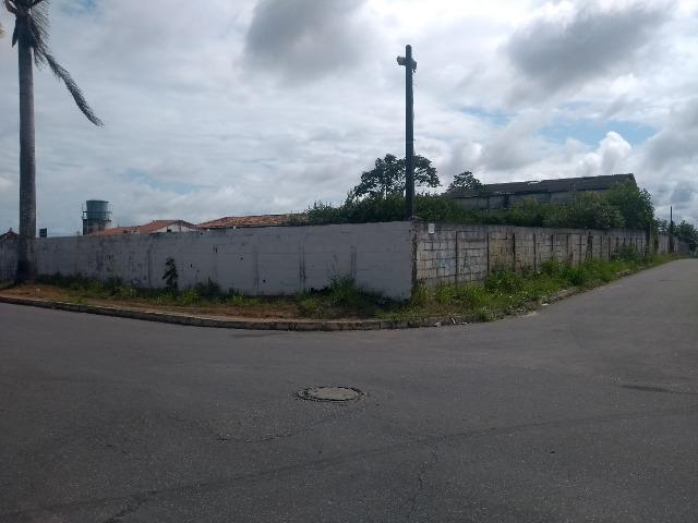 D206 Terreno na Avenida Marcio Canuto /Barro duro - Foto 11