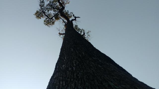 Colônia Quixadá - Foto 6