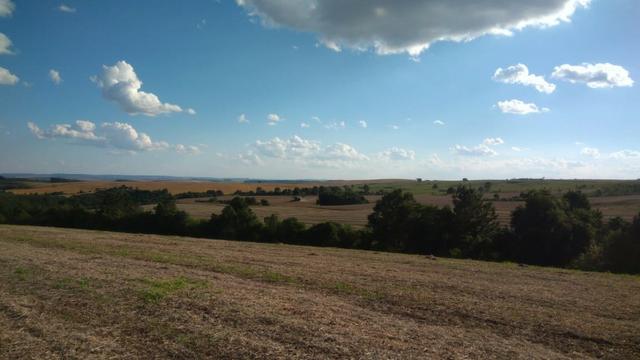 234 Hectares - 97 Alqueires - Planta 52 Alqueires - Palmeira - Foto 3