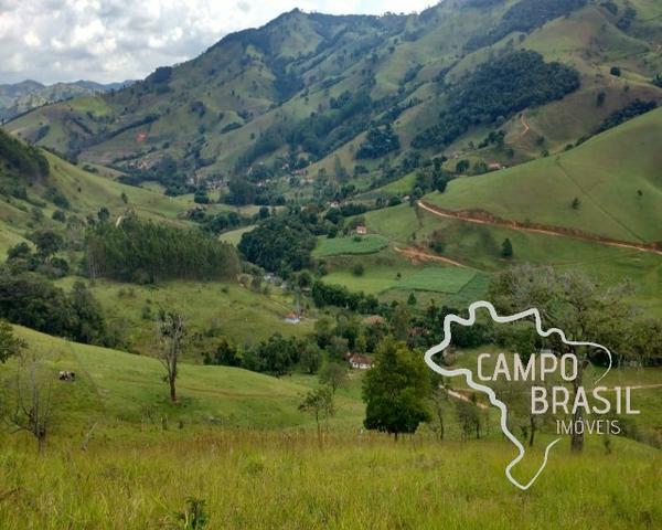 Oportunidade rural! Sítio de 8,5 alqueires todo aproveitável! - Foto 6