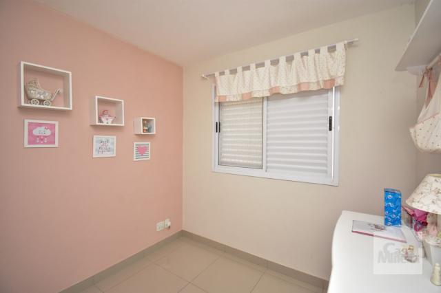 Apartamento à venda com 3 dormitórios em Havaí, Belo horizonte cod:239892 - Foto 14
