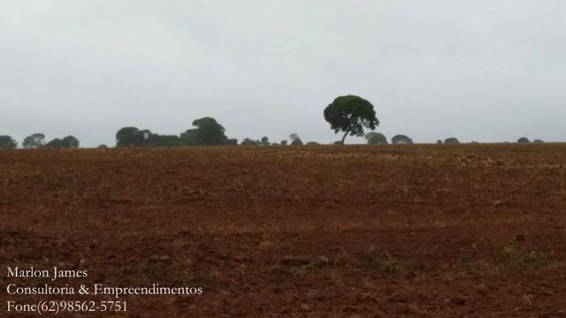 Fazenda em Porangatu!! - Foto 13