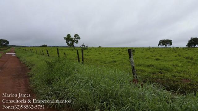 Fazenda em Porangatu!! - Foto 18