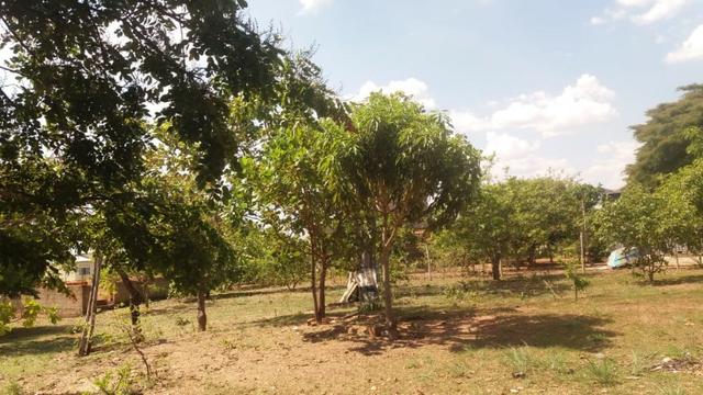 Vendo uma linda chácara corumbá 4 - Foto 5
