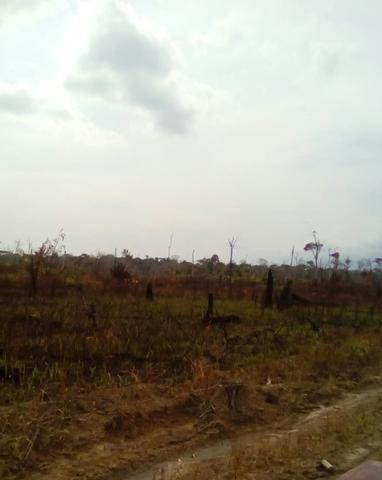 Vendo área de fazenda na Br 319 AM próximo a Porto Velho/Ro - Foto 5