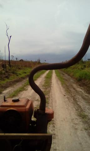 Vendo área de fazenda na Br 319 AM próximo a Porto Velho/Ro - Foto 2