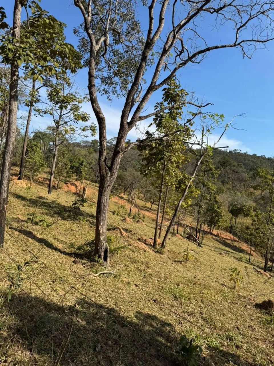 Terreno de 27 mil metros em azurita  - Foto 3