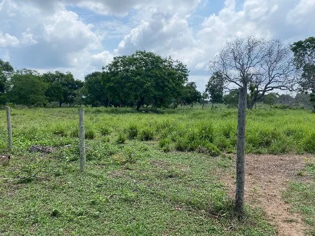 VENDE-SE CHÁCARA EM SUMAUMA/MA - Foto 5