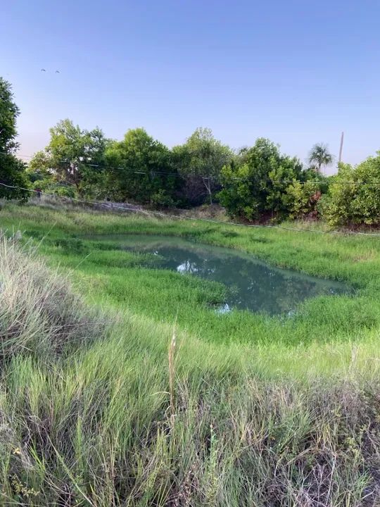 Sítio com casa, igarapé próprio e açude no Bom Intento - Foto 8