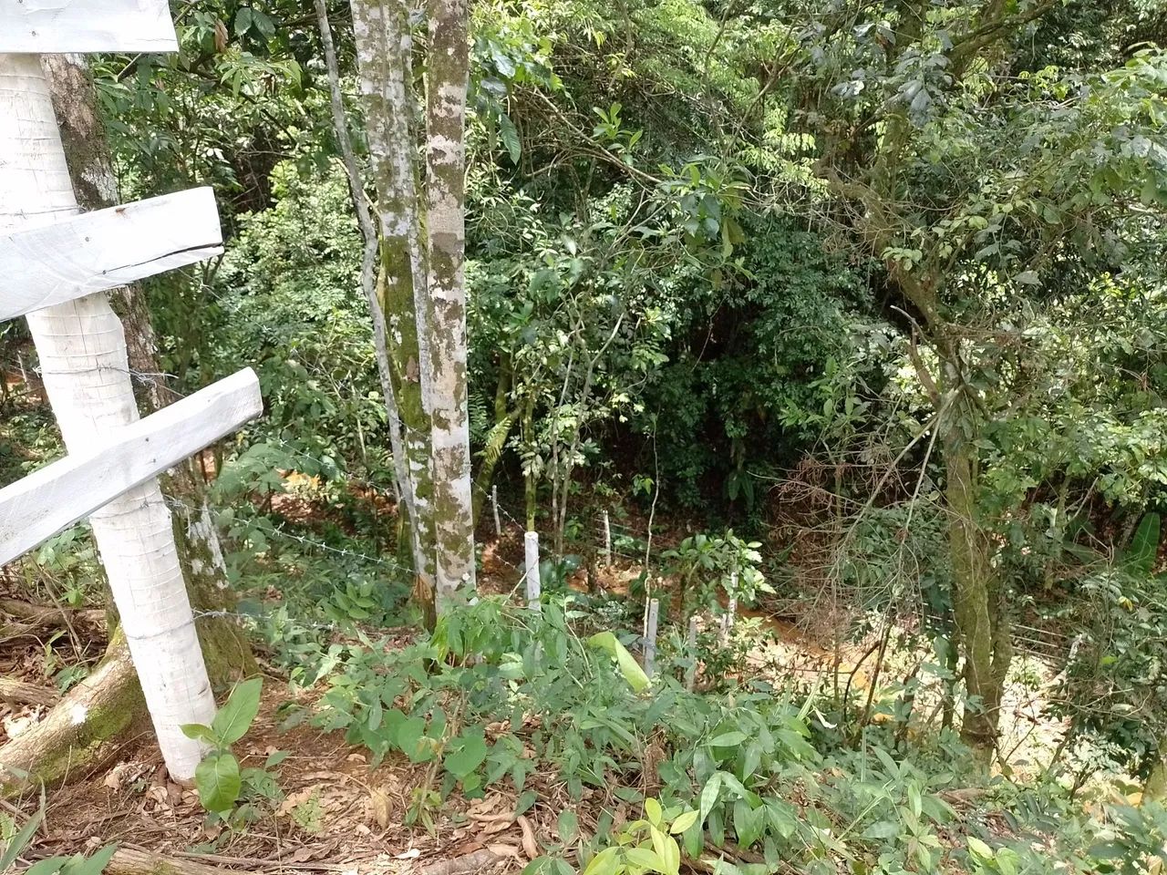 Vende-se chácara em XERÉM com 1mil M2, loteamento com apenas 9 chácaras.  - Foto 3