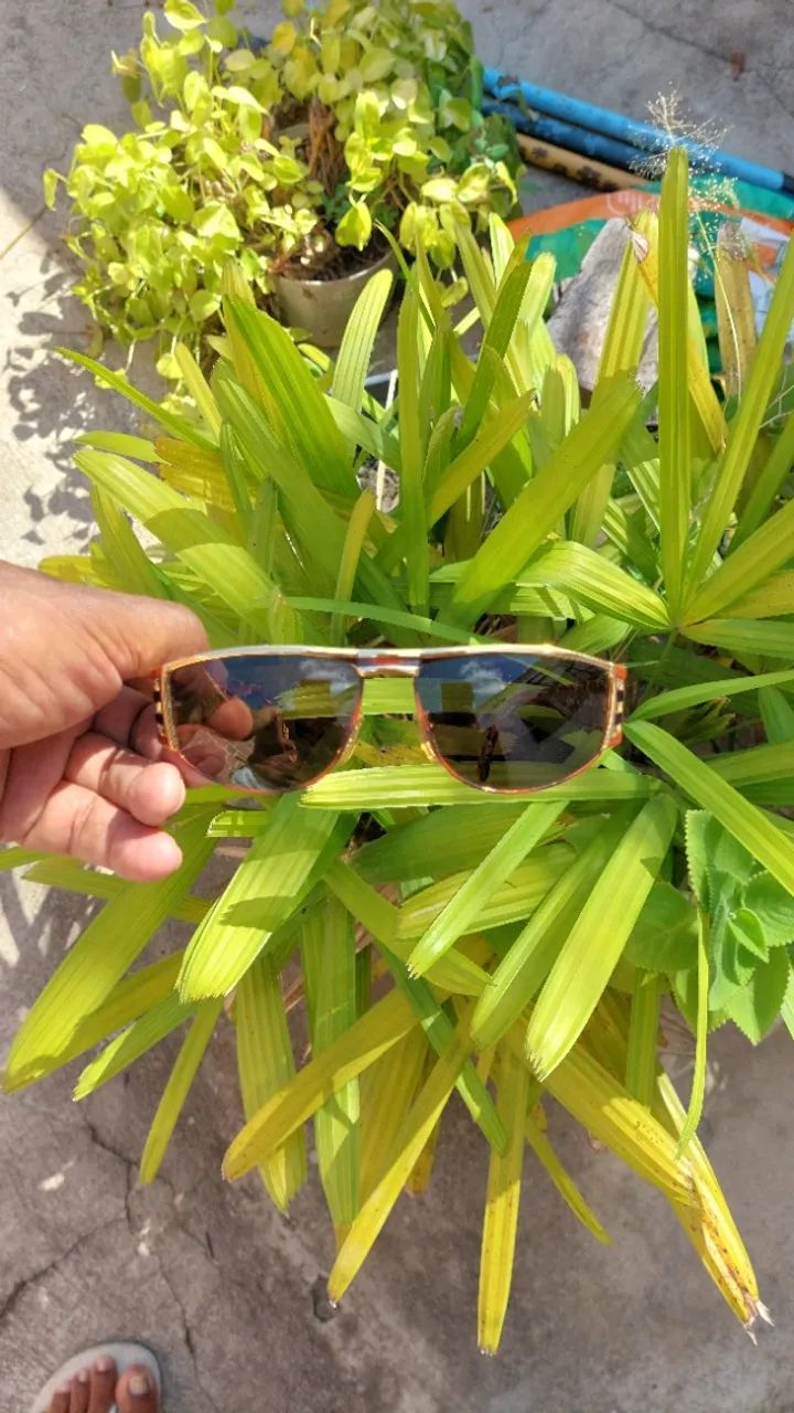 Óculo fendi  - Foto 2