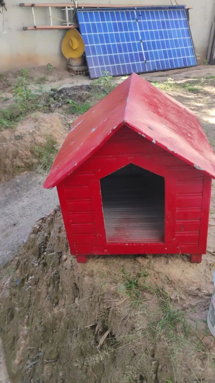 Diversos64302527420545122