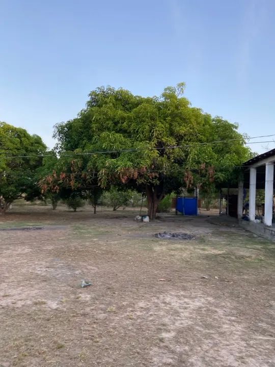Sítio com casa, igarapé próprio e açude no Bom Intento - Foto 12