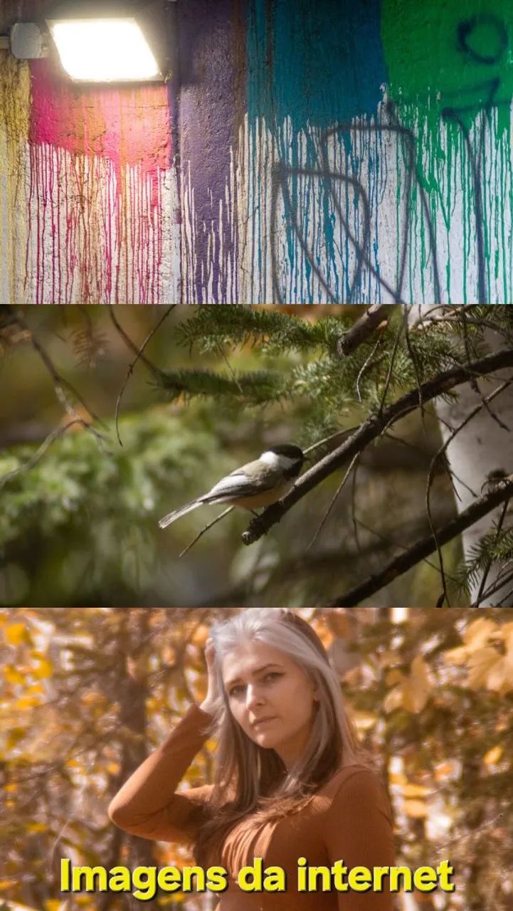 Lente 420-800mm para Nikon (NOVA) - Foto 5