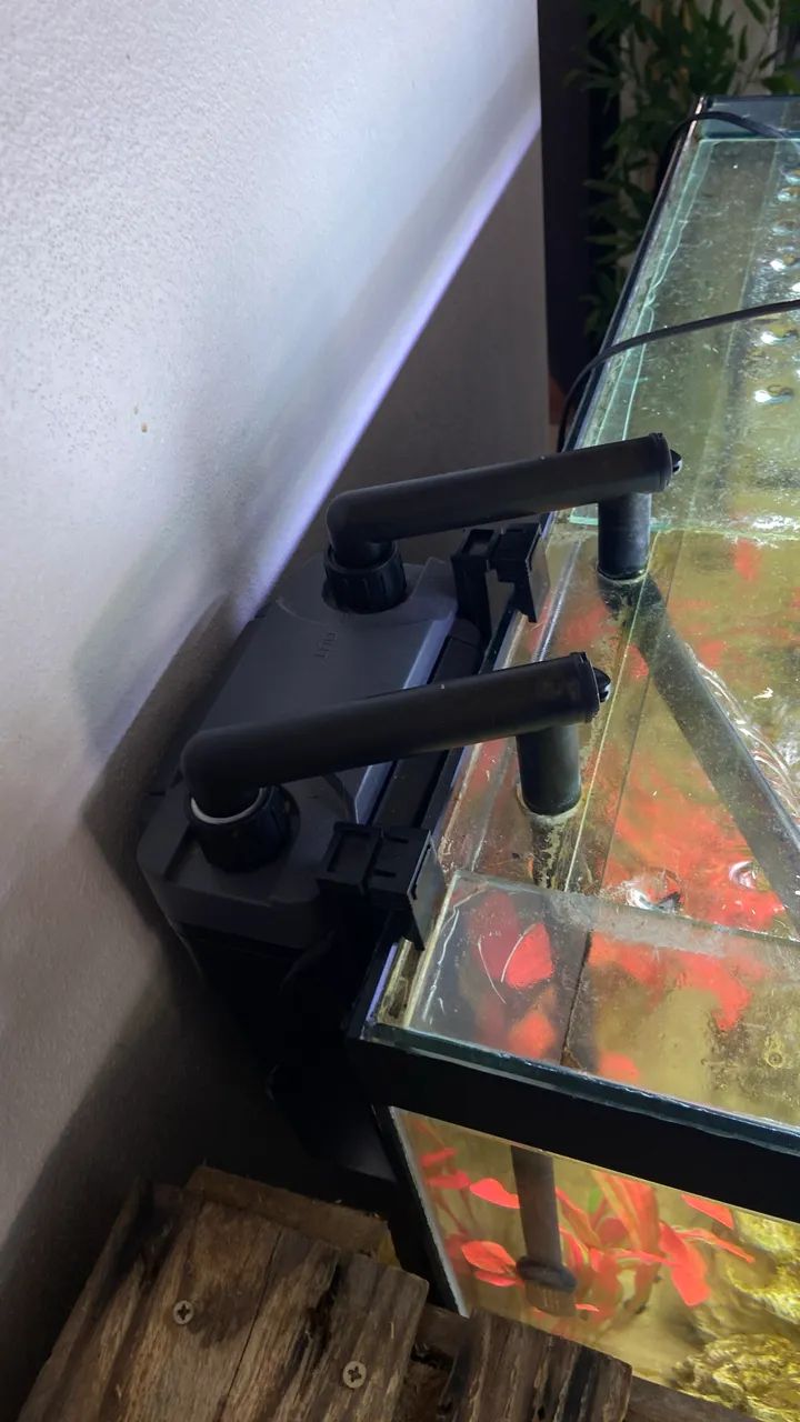 Aquário completo 160 litros - com móvel, filtragem, iluminação e acessórios - Foto 4