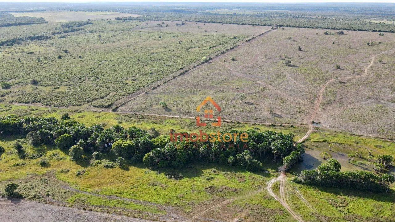 Fazenda à venda de 890 hectares com Potencial Agrícola; Próximo a Cristalândia - TO - Foto 3