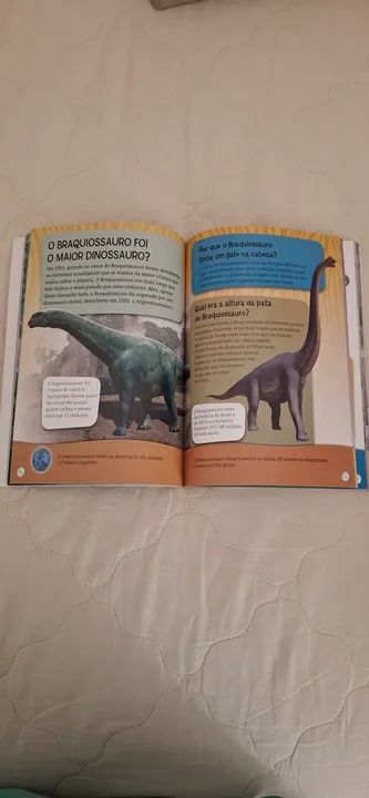 2 Livros sobre Dinossauros - O Mundo dos Dinossauros e Tudo Sobre Dinossauros - Foto 3