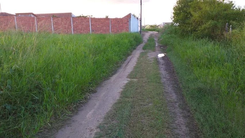 Foto - União dos Palmares - 
