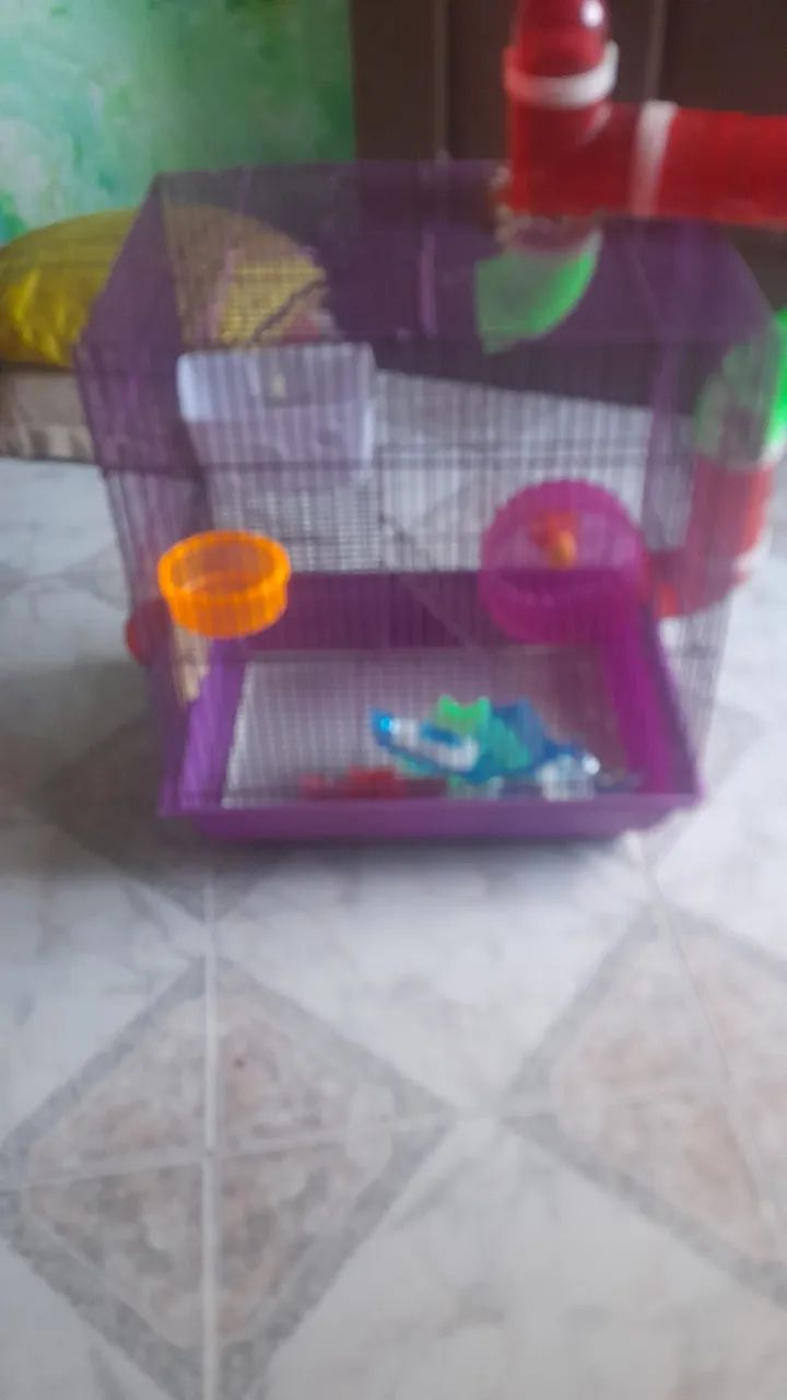 Vende se uma casa de Hamister - Foto 5