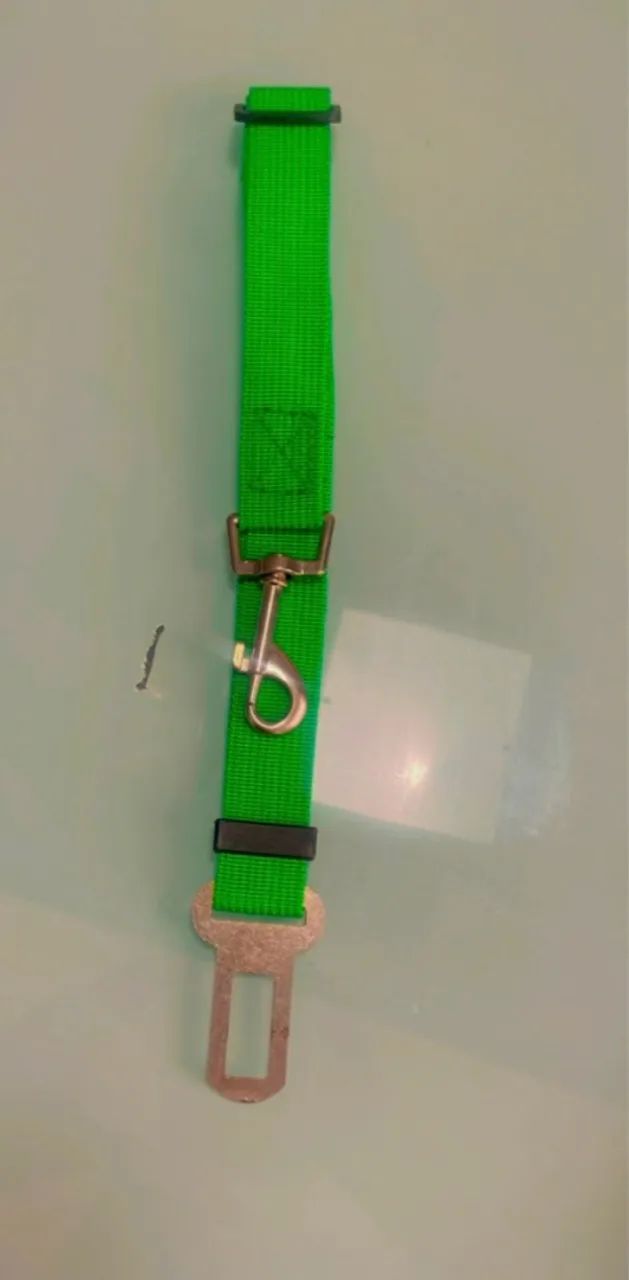 Guia para Cães - Segurança no Carro - Foto 4