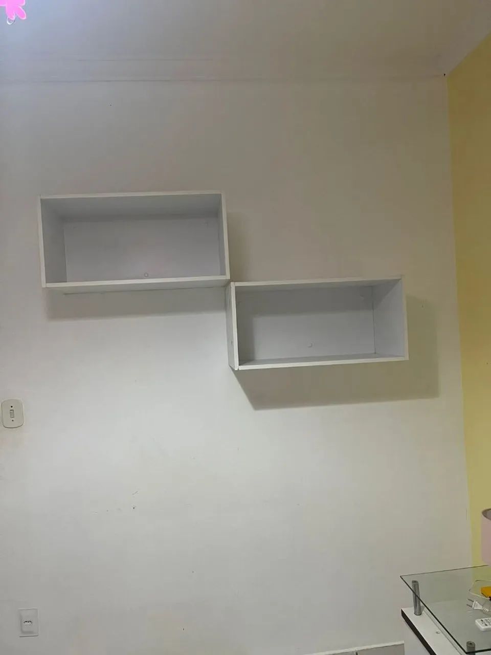 Foto - Teresina - Macaúba