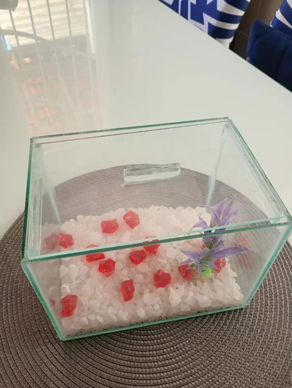 Aquário decorado  - Foto 2