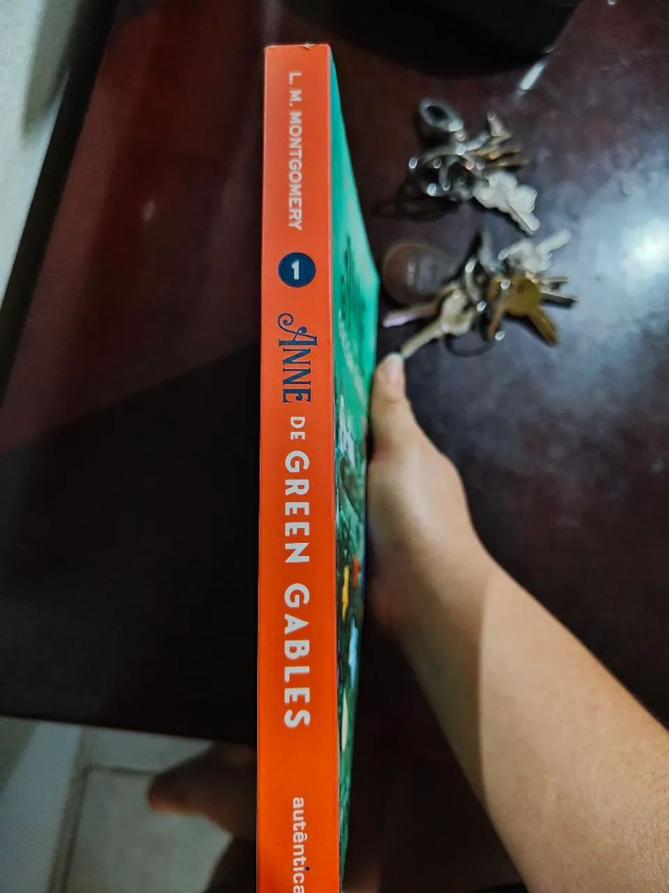 Livro Anne  - Foto 3