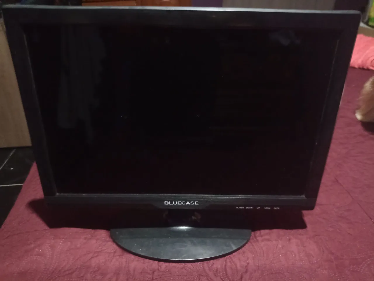 Monitor BLUECASE