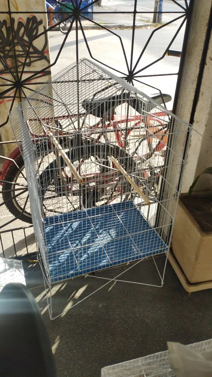 Gaiola para pássaros grande