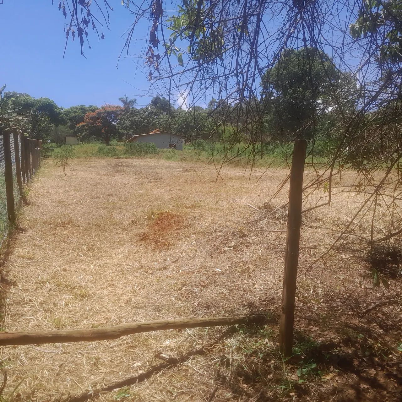 Terreno com área verde em ótima localização - Foto 3
