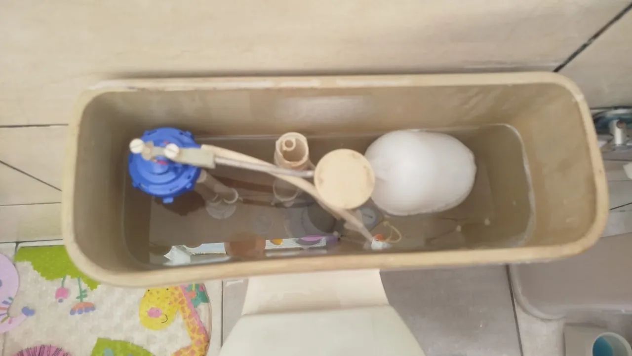 Toilet with Integrated Cistern64706407896322121