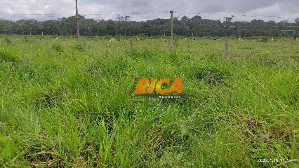 Fazenda à venda, com 100 hectares na área Rural de Porto Velho/RO - Foto 5
