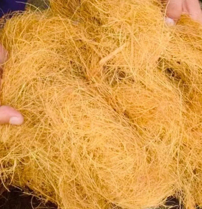 Fibra de coco natural (orgânico e artesanal)