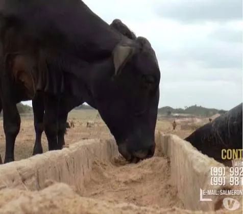 Farelo de babaçu  - Foto 2