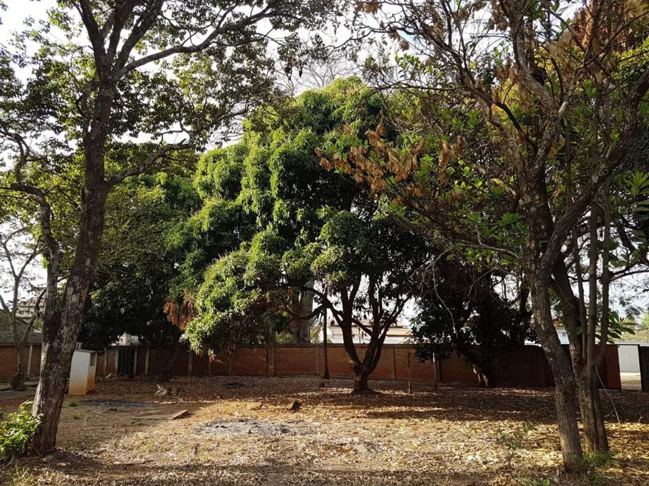 Lote/Terreno para venda com 1692 metros quadrados em Santa Genoveva - Goiânia - GO - Foto 2