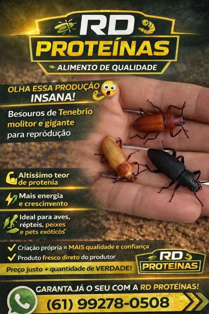 Ração, farelo de arroz, quirela de milho, Tenebrios, baratas, grilos, minhocas, besouros  - Foto 4
