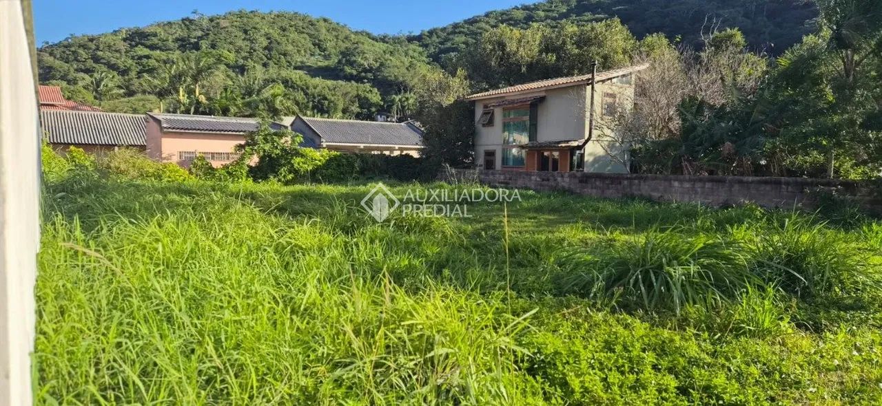 Terreno à venda em Morro das Pedras, Florianópolis - Foto 4