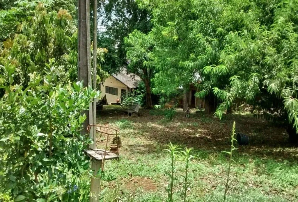 Terreno Comercial - Foto 4
