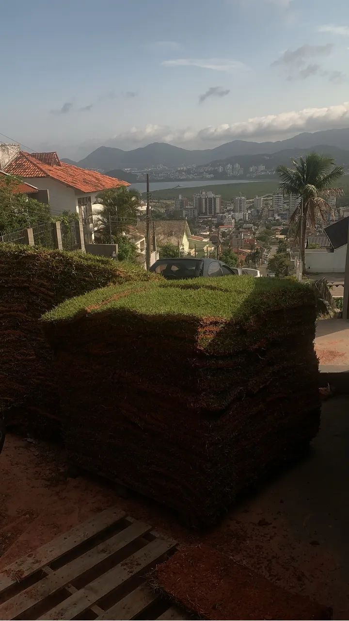 Grama início de ano 