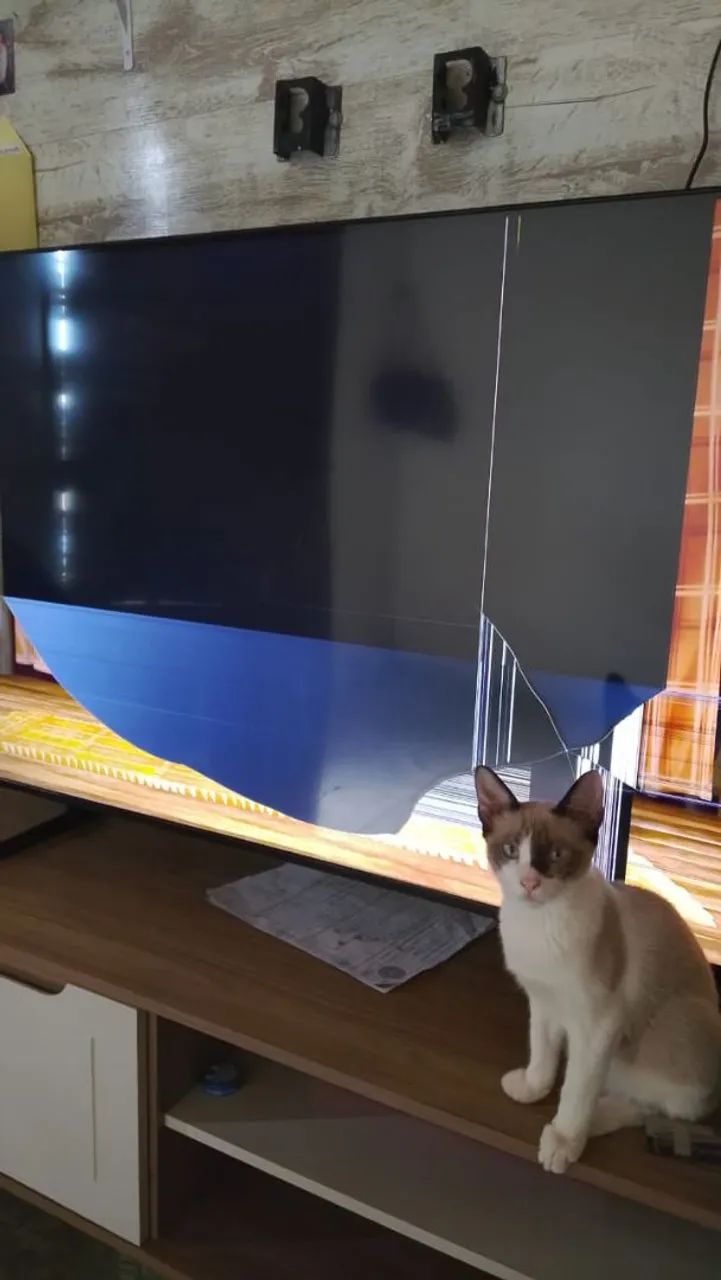 Vendo tv Samsung 55 polegadas pra retirada de peças.