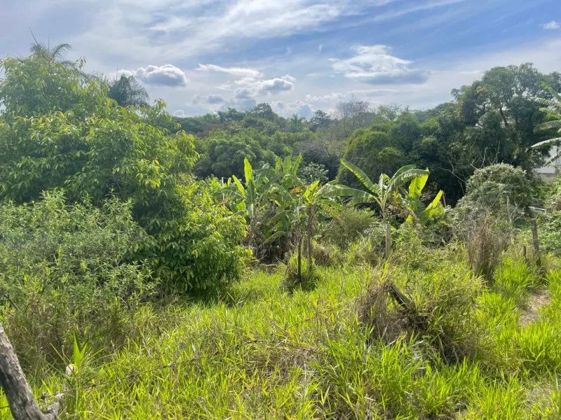 LOTE TERRENO 1000m2 - Foto 4