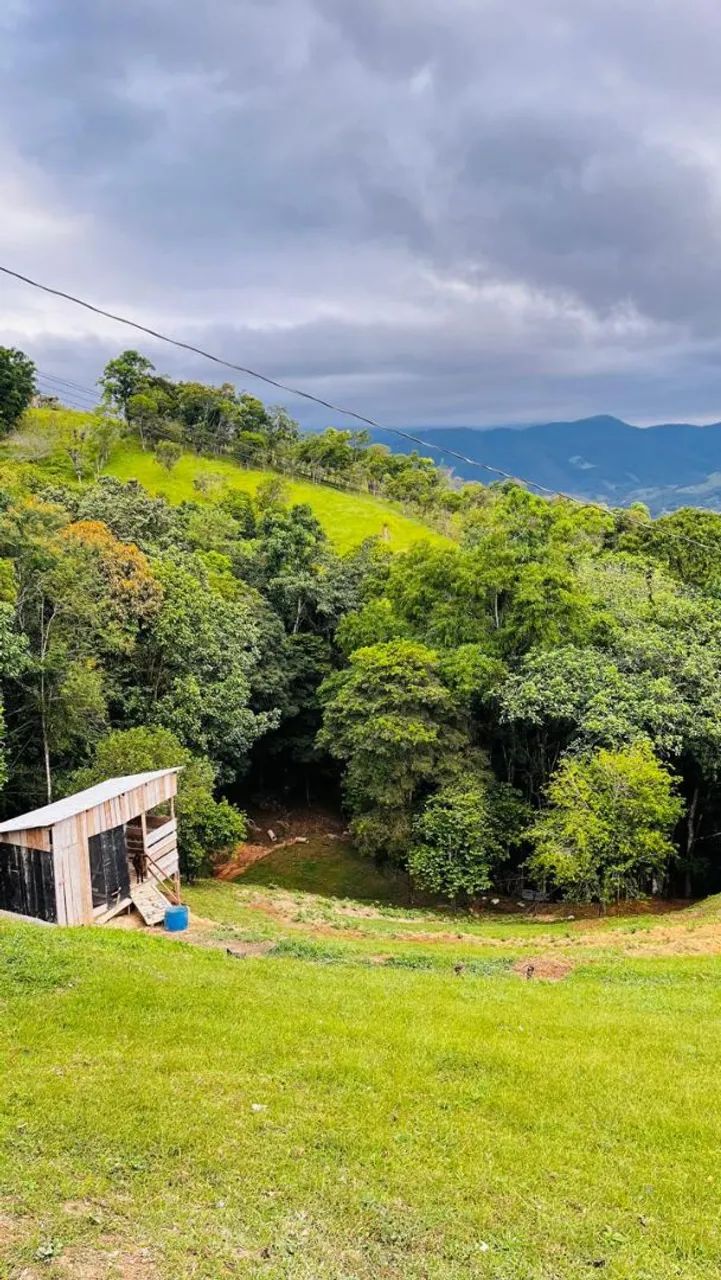 Foto - Santo Amaro da Imperatriz - Santo Anjo