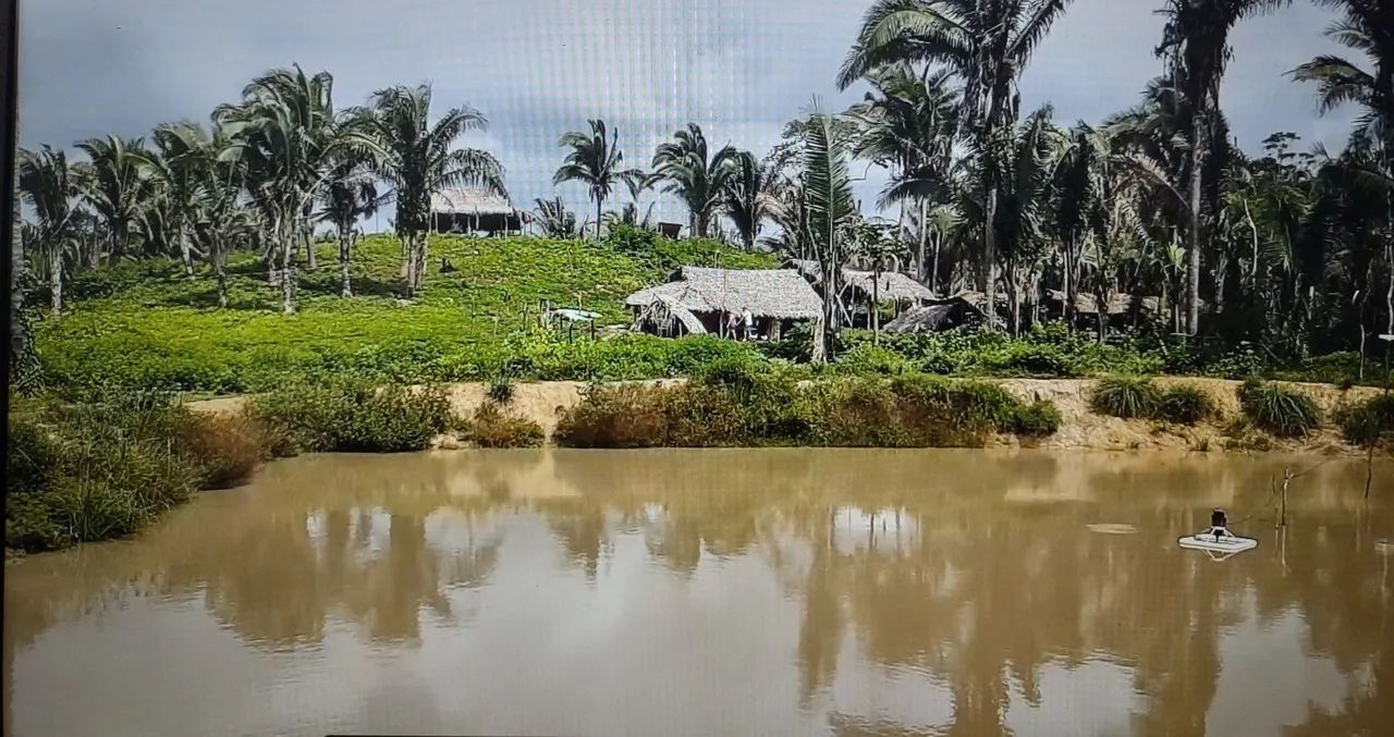 Área 12 HA povoado leite próximo Presidente Vargas